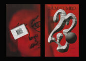 front and back cover for the book Age 23. On the cover is a beveled shape in the form of the numbers 23