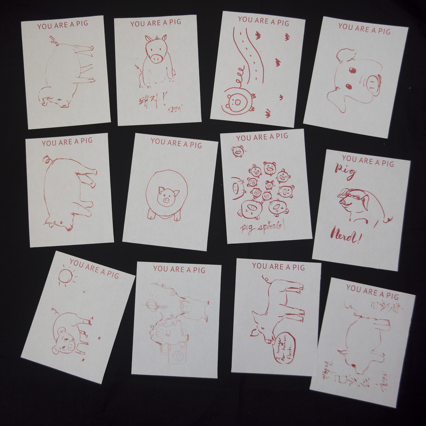 12 drawings of pigs drawn by attendees of the 19 Pigs event