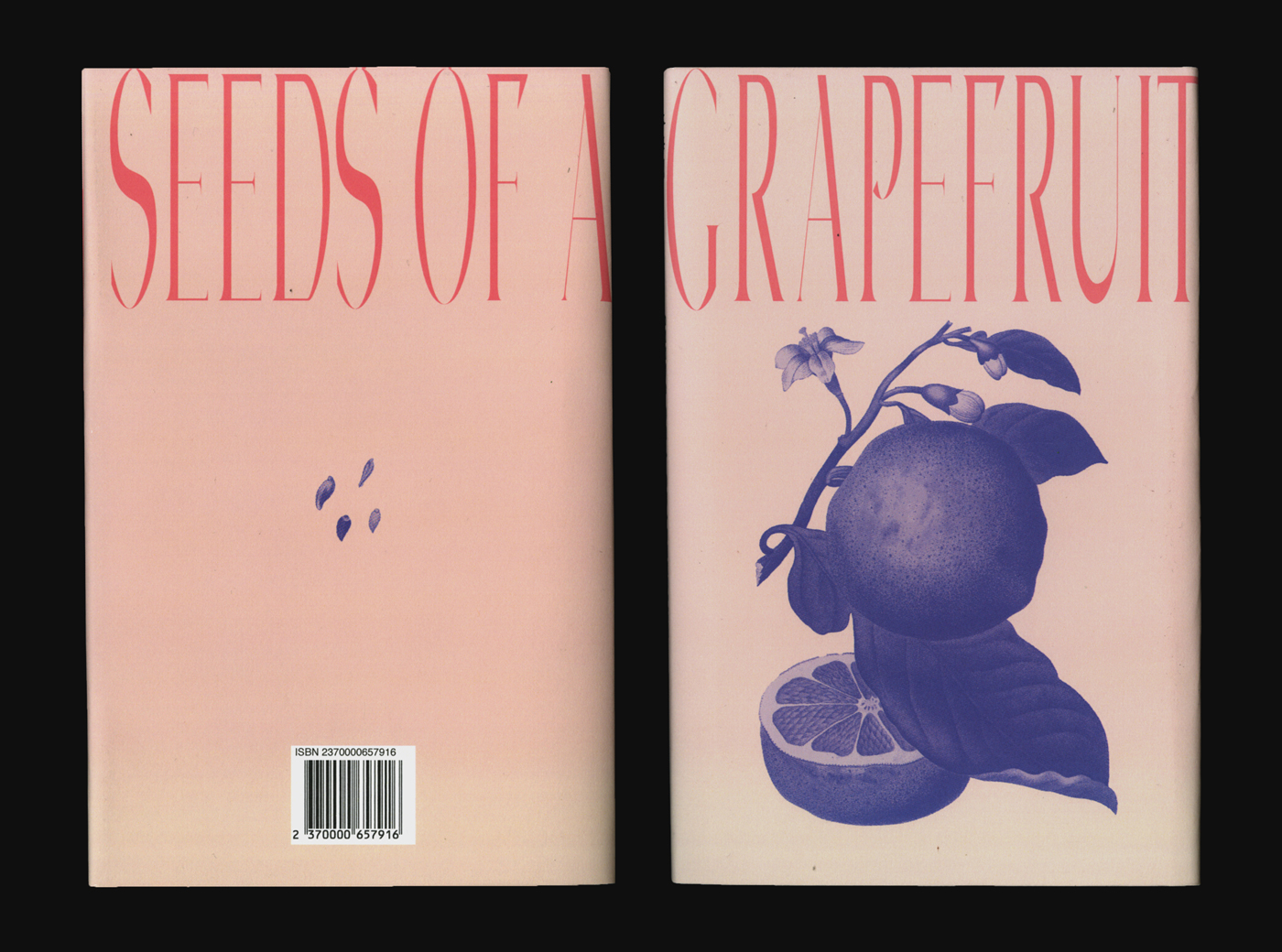 Front and back cover of a book titled "Seeds of a Grapefruit." There is an image of a grapefruit.