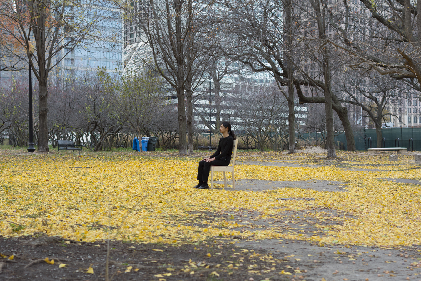 The artist is photographed from a distance wearing all black and seated on a wooden chair. Their face looks to the left. They are facing south. They are seated in the midst of yellow leaves that have fallen on to the ground.