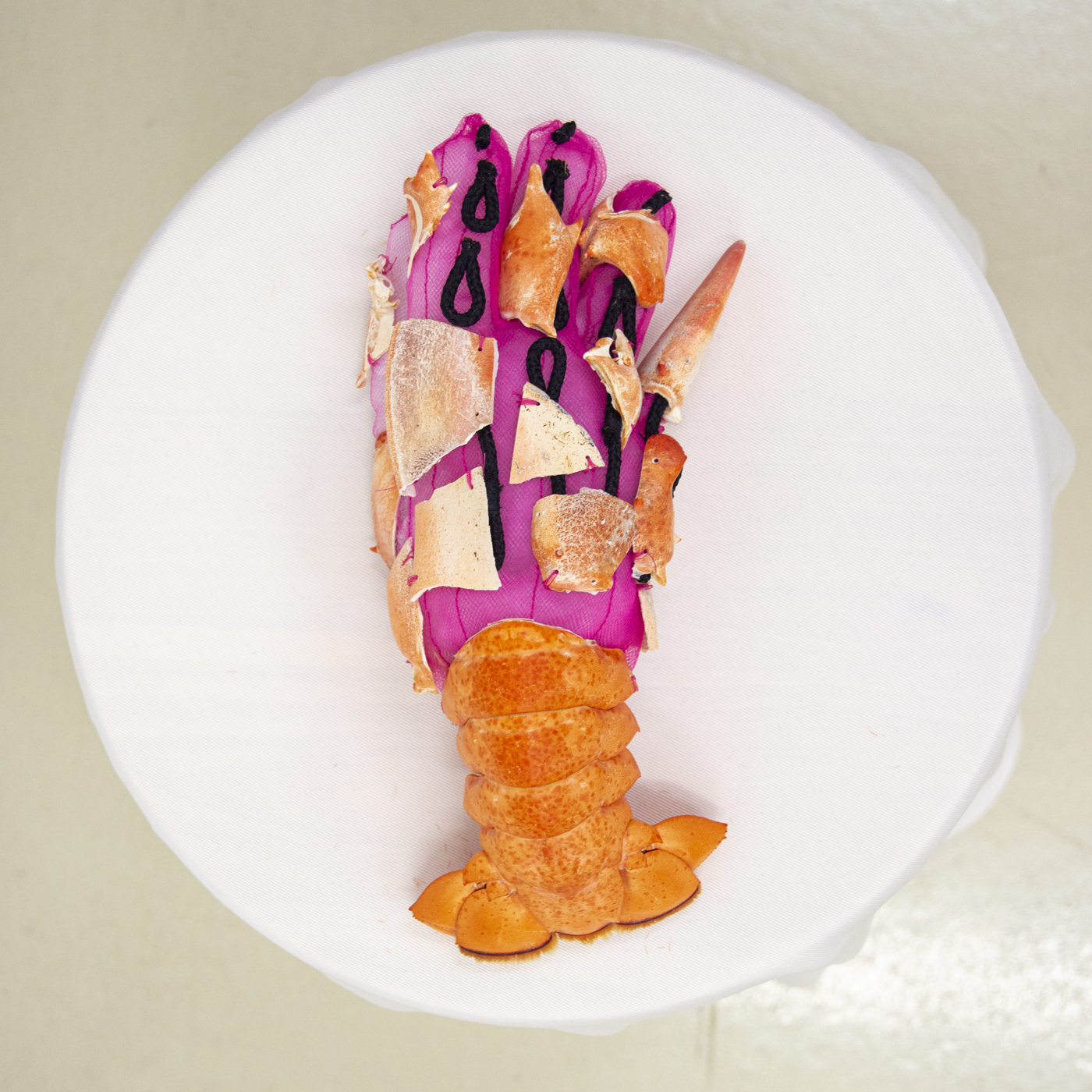 a pink tulle glove with black cord in the shape of bones, covered by lobster shells