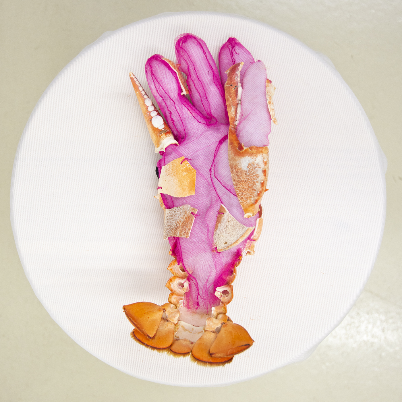 a pink tulle glove sits palm-up and white polyfill stuffing is visible. The glove is covered by lobster shells.