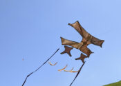 a kite flies against a blue sky and green field. The kite has six tails flying from it.