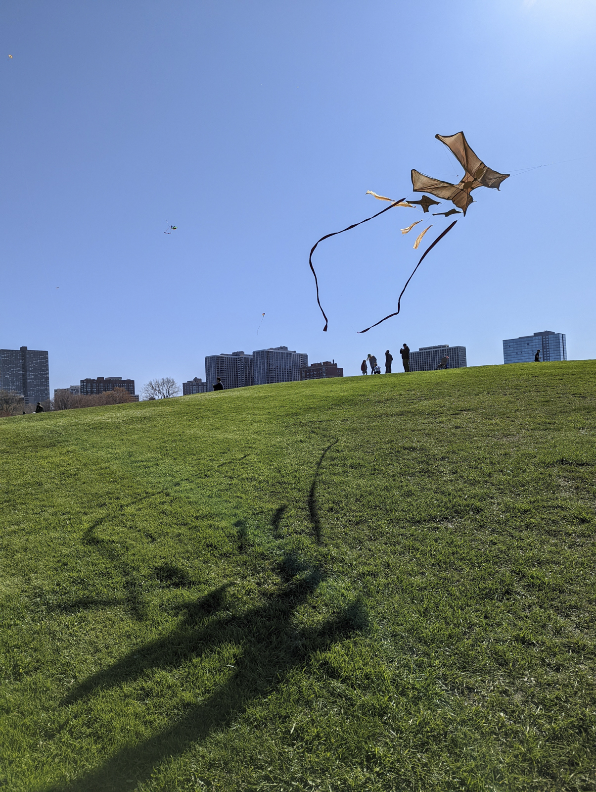 A kite flies across the sky. The sun casts the kite's shadow on to a green grassy hill.