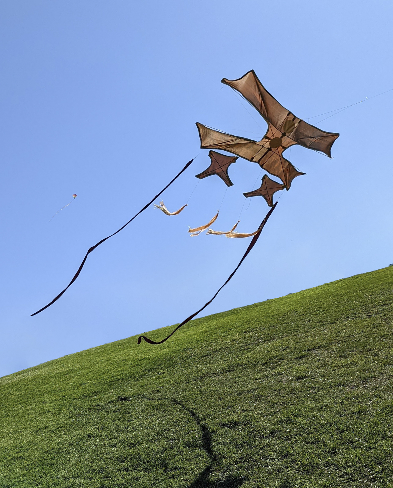 a kite flies against a blue sky and green field. The kite has six tails flying from it.