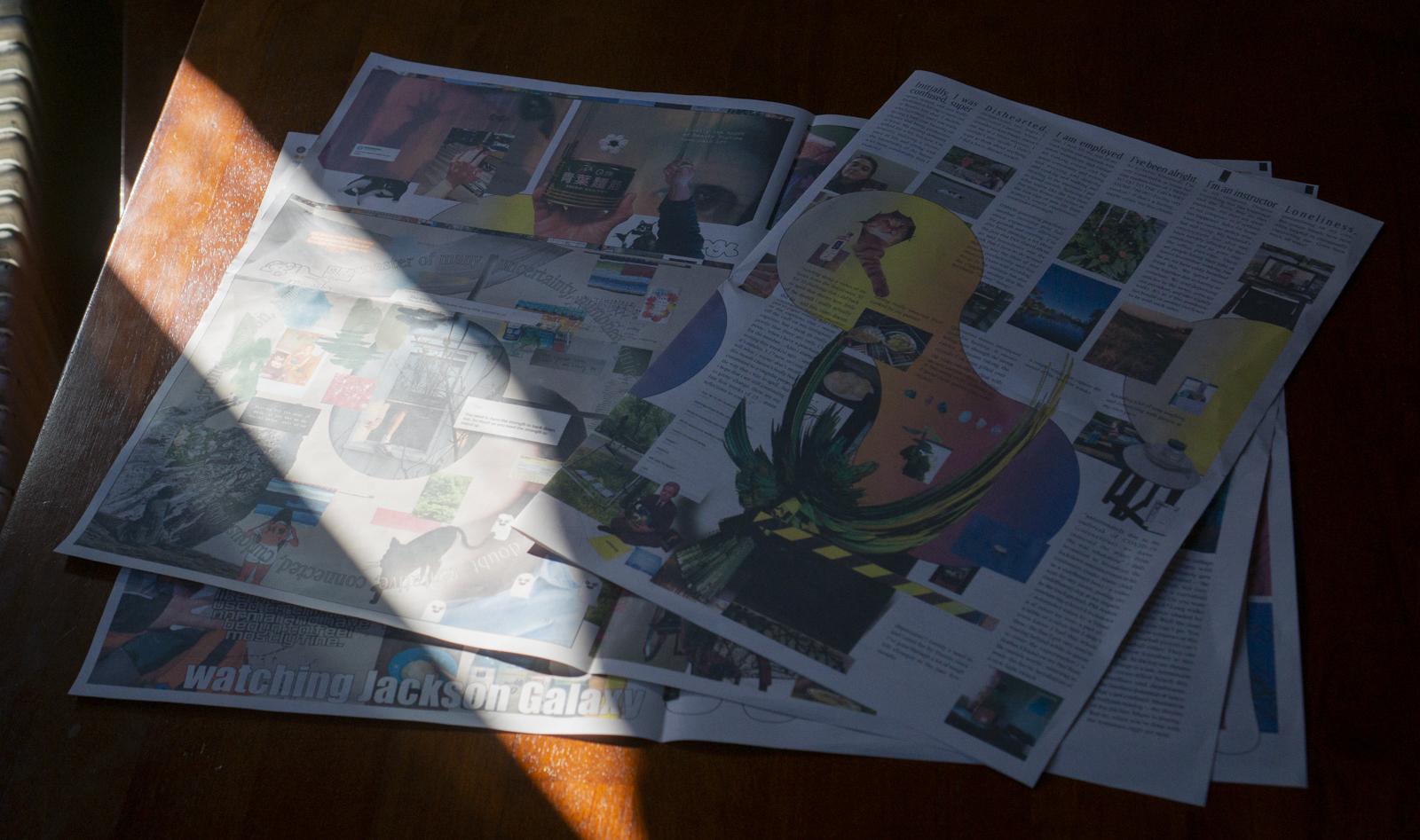 An image of An Ordinary Anthology spread out on a table with sunlight cast over it.