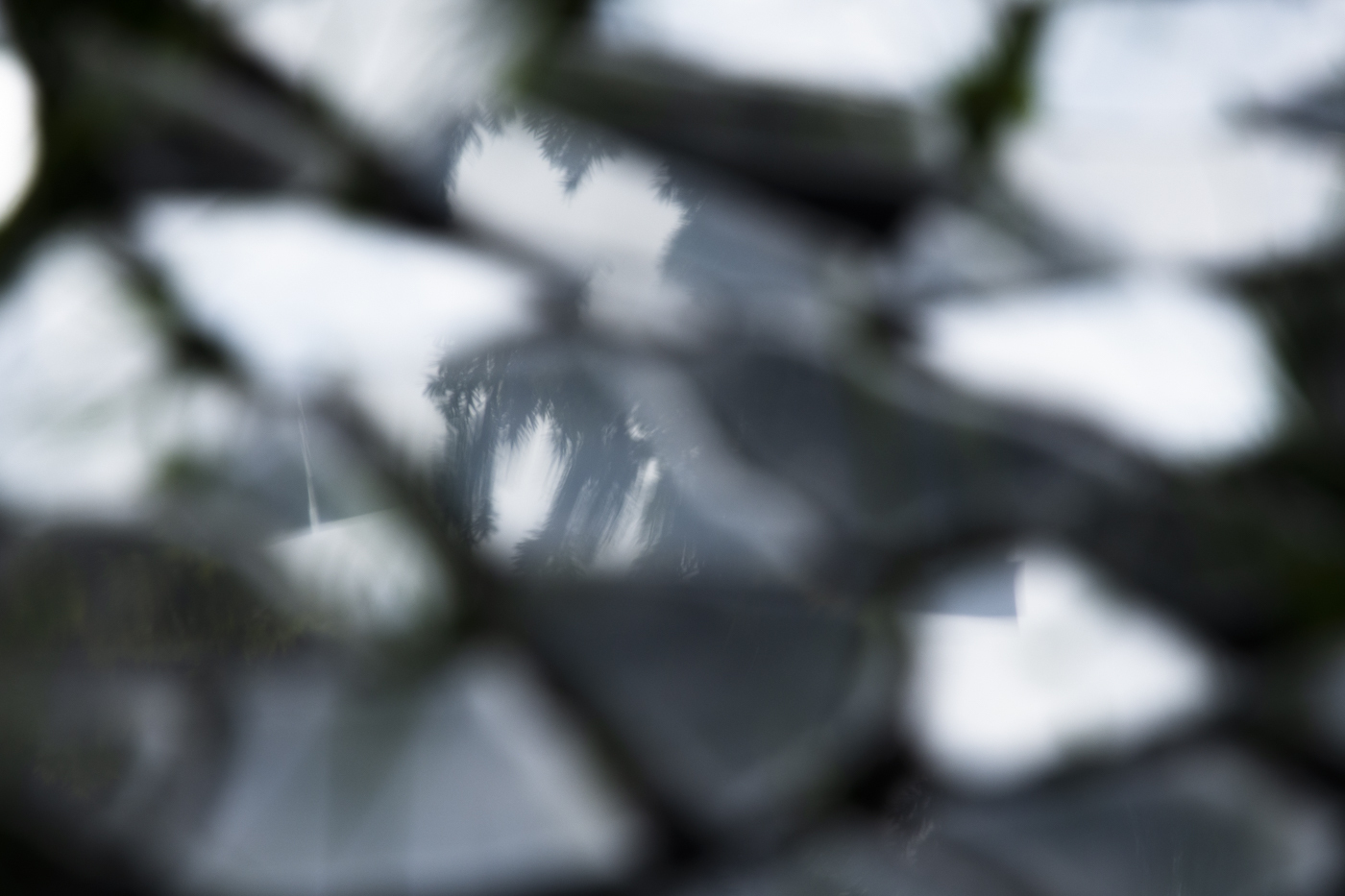 a close-up image of a fractured mirror sitting in grass.